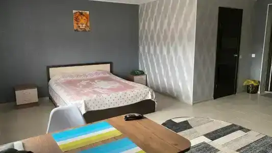 Пальма - 12