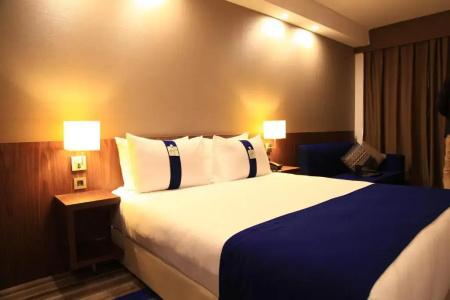 Holiday Inn Express Istanbul Airport, An Ihg - 39