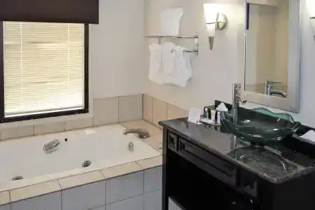 Comfort Inn Downtown Charleston - 9