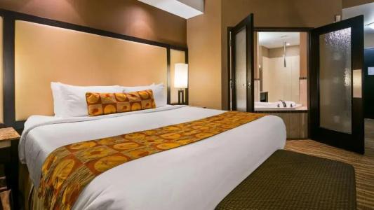 Best Western Premier Freeport Inn Airport - 142