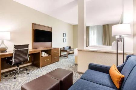 Comfort Suites - South Austin - 22