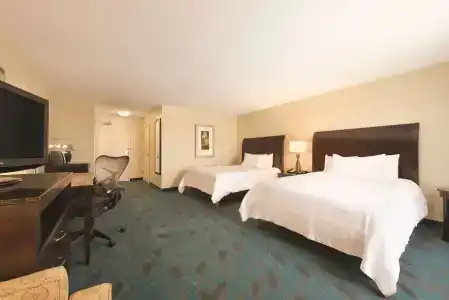 Hilton Garden Inn - 4
