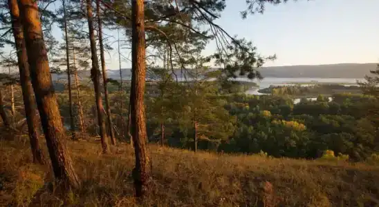 Мастрюки - 0
