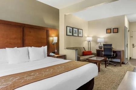 Comfort Suites Walnut Creek - 38
