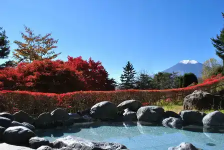 Mount Fuji - 15