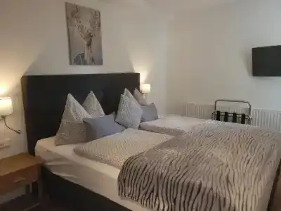 Pension Waldhorn - 17