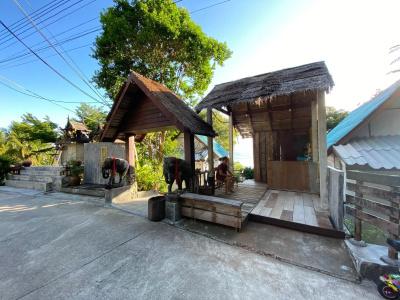 P.D. Beach Resort - 14