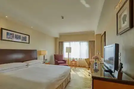 Radisson Collection, Yangtze Shanghai - 3