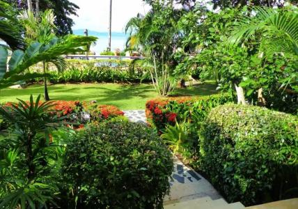 Amber Sands Beach Resort - 53
