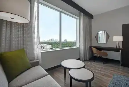 Holiday Inn Express - Houston - Galleria Area, An Ihg - 38