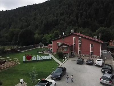 Abant Bahceli Kosk - 14