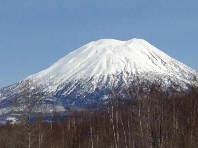 Resort Inn Niseko - 30