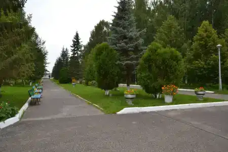 Новый источник - 18
