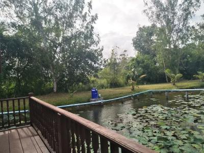 Sarocha Rayong - 66