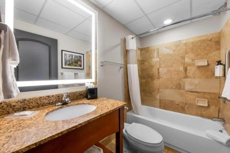 Best Western Plus - 9