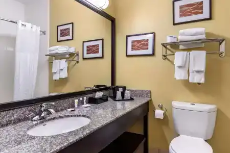 Comfort Inn & Suites - 8