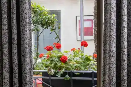 hôTel Du Jeu De Paume - 66