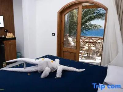 Penguin Village Dahab - 33