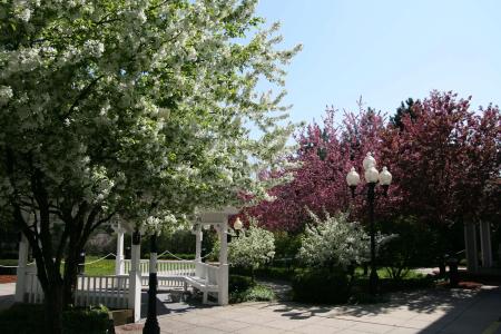 Hampton Inn - Colchester - 18