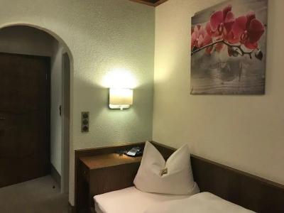 Gasthof & Goldener Hirsch - 28