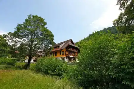 Gasthaus Hirschen - 22