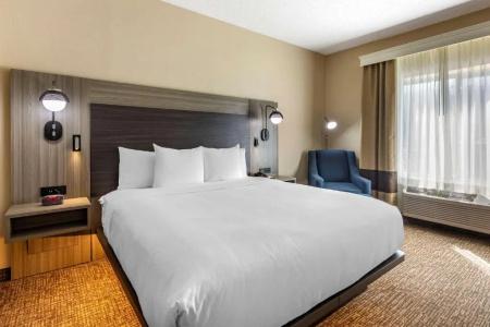 Comfort Inn & Suites North Dallas-Addison - 28