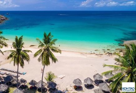 New POP Villas, Koh Tao - 19