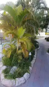 Outrigger Burleigh - 24