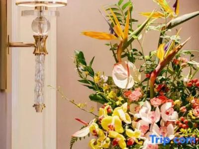 Xijiao State Guest - 103