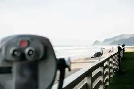 Surftides - 7