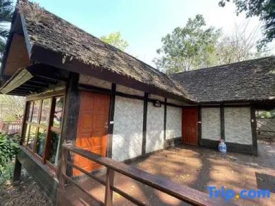 Phuingfah - 29