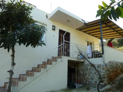 Rose Pension - 45