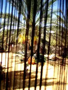 Maison Proche De Desert - 12