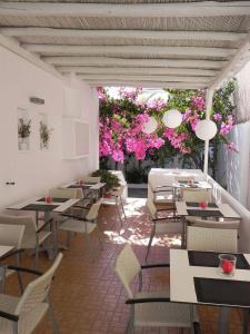 Apollon Boutique - 15