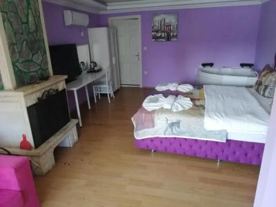 Alesta Butik Otel - 60