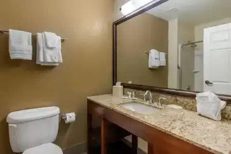 Comfort Suites - 10