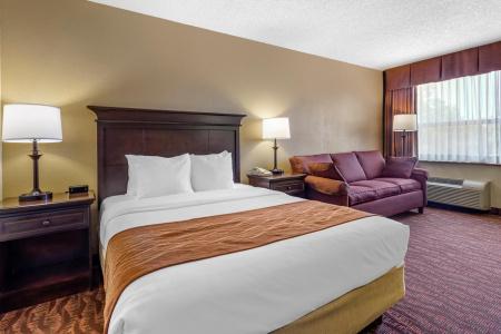 Comfort Inn at Thousand Hills - 6