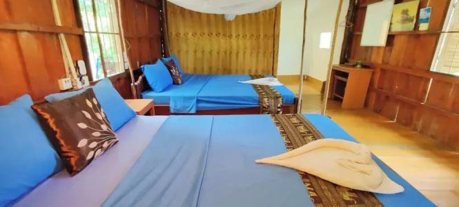 Dolphin Bay - 29