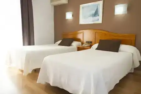 Caballo de Oro - 22