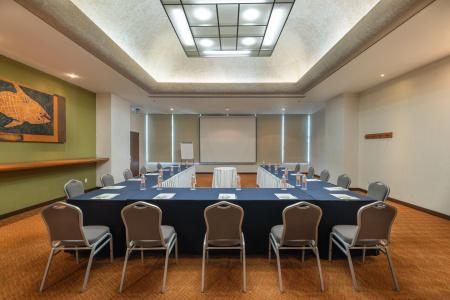 Holiday Inn Guadalajara Select, An Ihg - 31