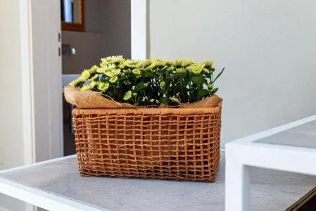 b&b Palazzo Cerami - 27