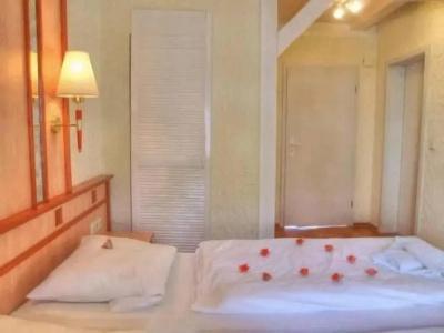 Vogel Appartement & Spa - 4