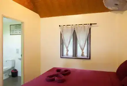 Shiralea Island Resort - 28