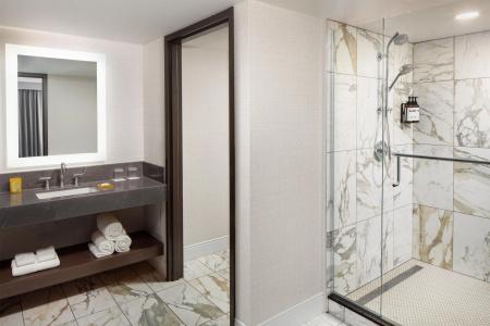 Hyatt Regency - 8