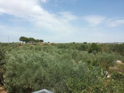 Baglio il Giovinetto - 25