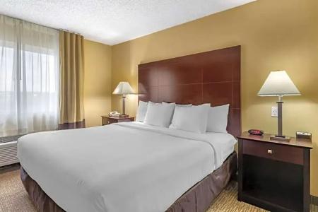 Comfort Inn & Suites - 61