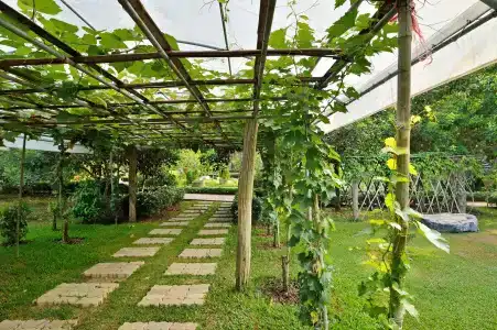 Aonang Fiore Resort - Sha Extra Plus - 38