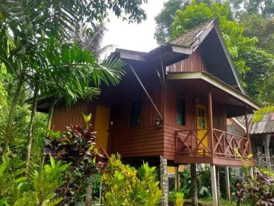 Tree Tops River Huts - 87