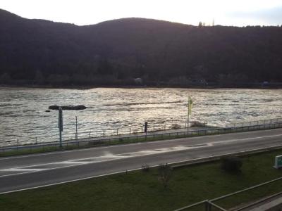 RheinLamm - 20