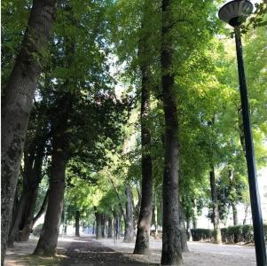 Recent Culture - 11